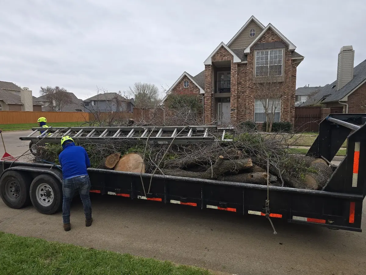 Expert Lot Clearing with proper safety equipment in Ayden